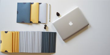 下载支持多设备同步的丝瓜官方电脑版，提升效率-丝瓜聊天官方版