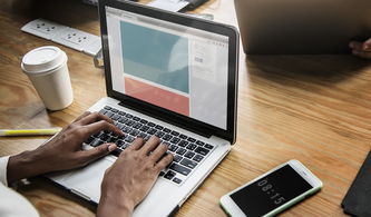 官方正版丝瓜支持高清语音、视频会议，免费下载，丝瓜_seo_.1.3.0.apk-丝瓜聊天官方版